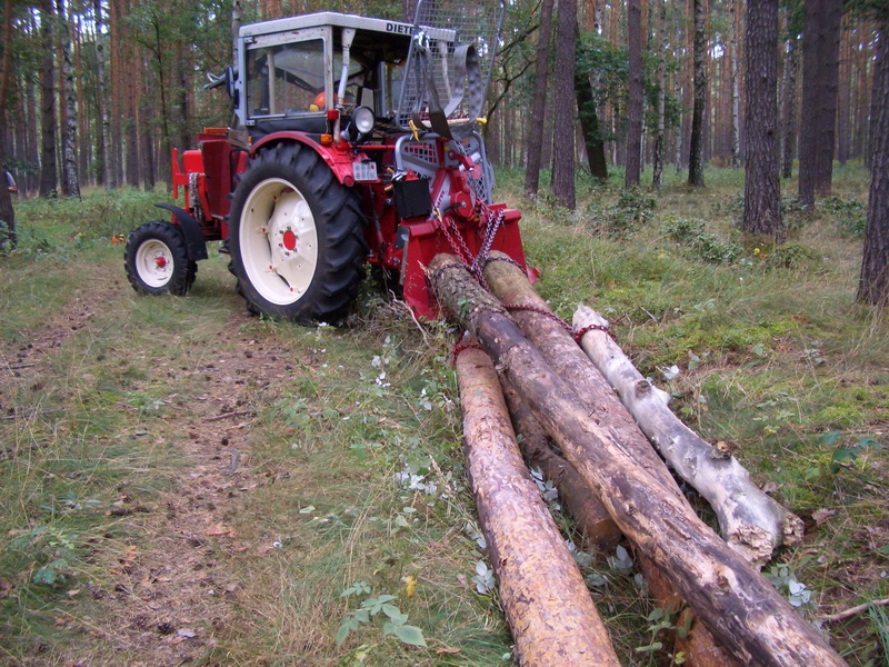 CIMG0176.jpg