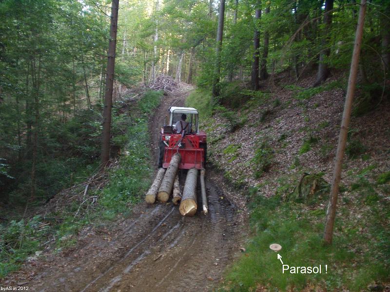 letzte_Fuhre_18_P9180011_2.JPG