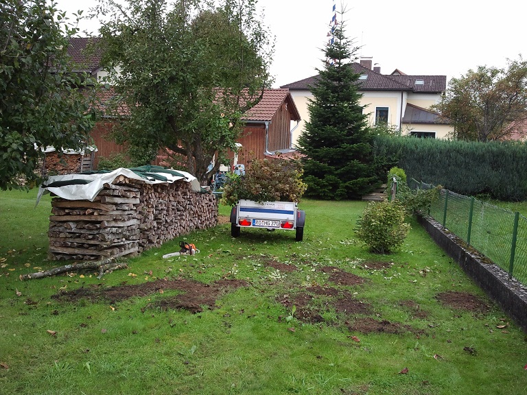 2012-09-24 10.58.28.jpg