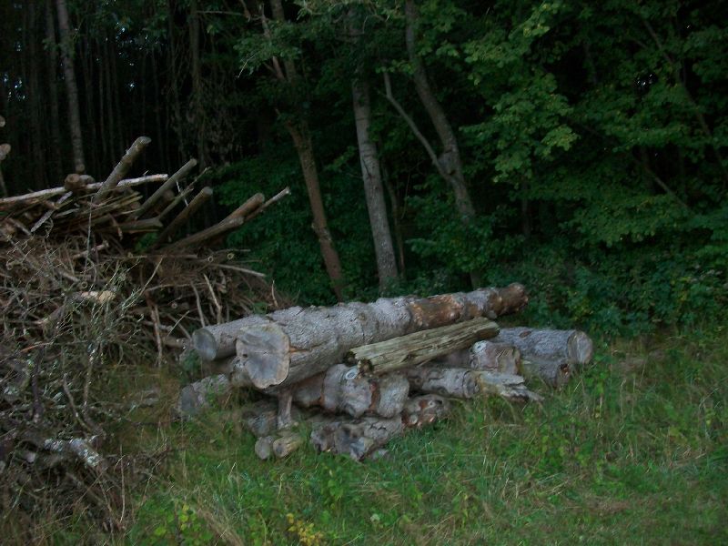 100_1274.JPG