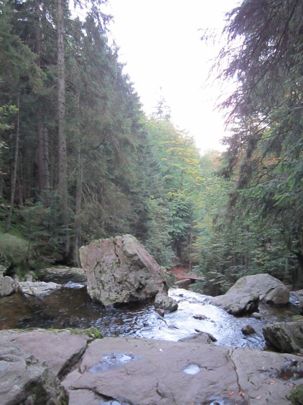 CBild 078.jpg