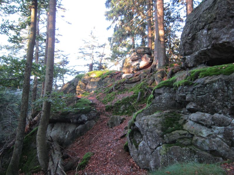 CBild 108.jpg
