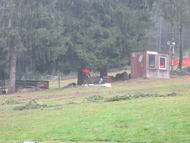 DBild 066.jpg