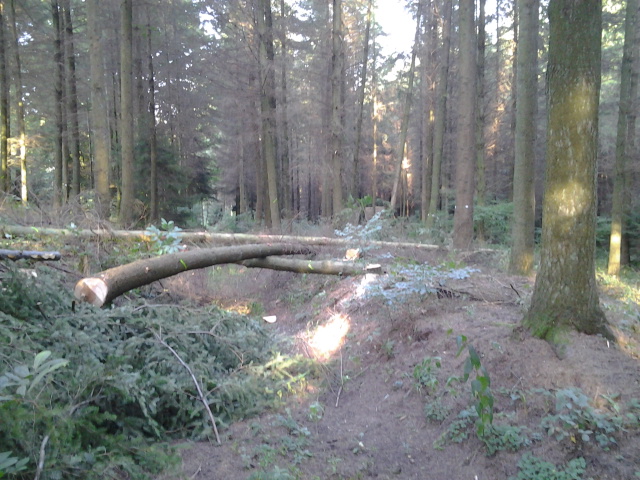 2012-09-17 17.35.12.jpg