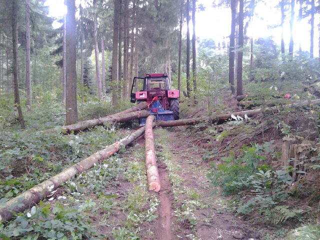 2012-09-18 15.13.06.jpg