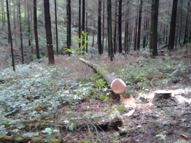 2012-09-27 13.29.49.jpg