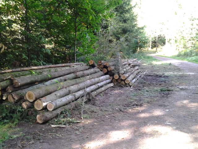 2012-09-20 14.32.54.jpg