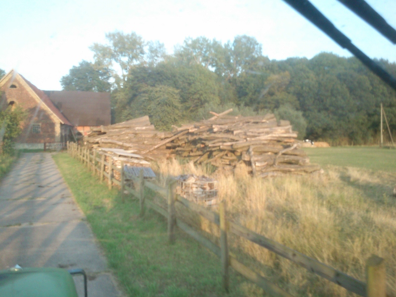 DSC_0005 (800x600).jpg