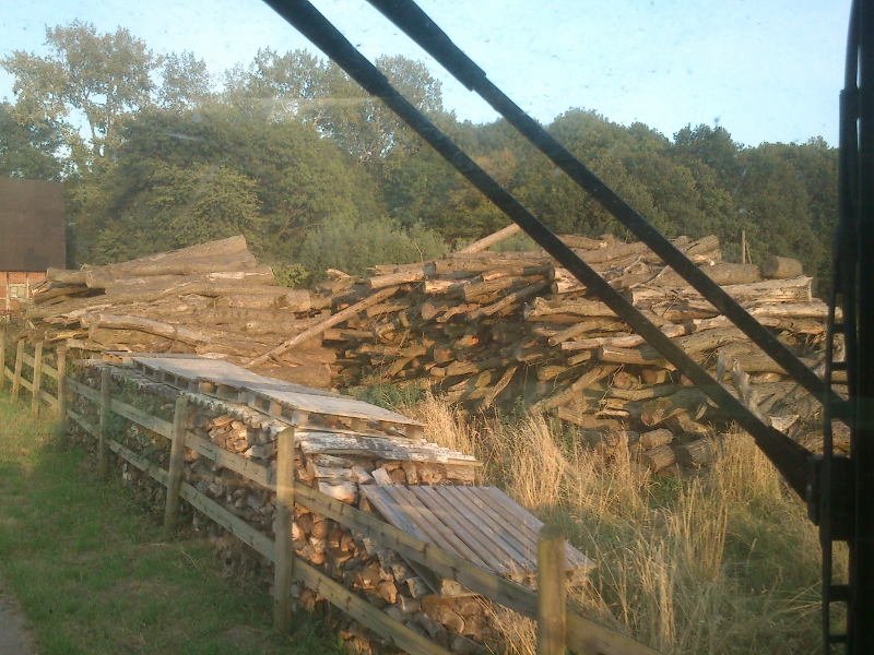 DSC_0006 (800x600).jpg