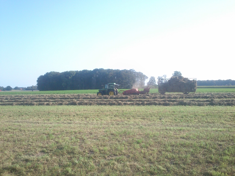 DSC_0008 (800x600).jpg