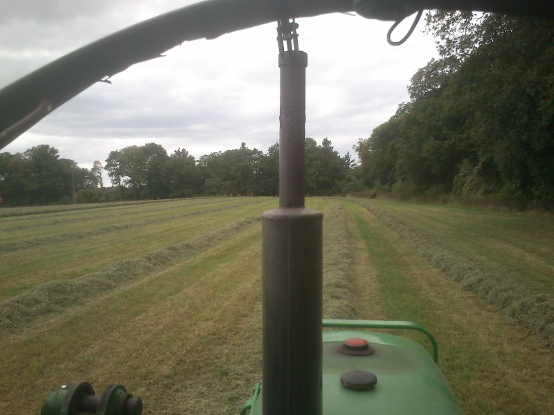 DSC_0020 (800x600).jpg