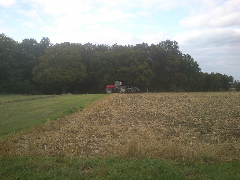 DSC_0021 (800x600).jpg