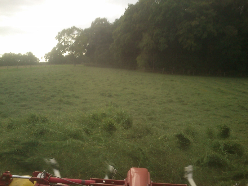 DSC_0023 (800x600).jpg