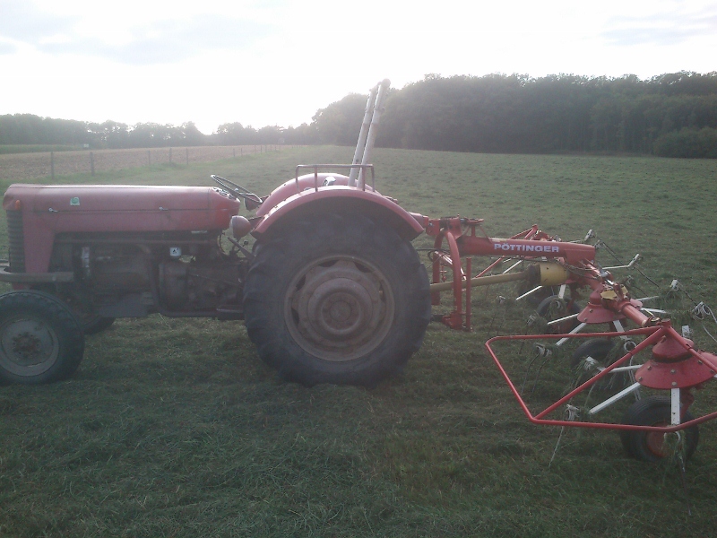 DSC_0024 (800x600).jpg