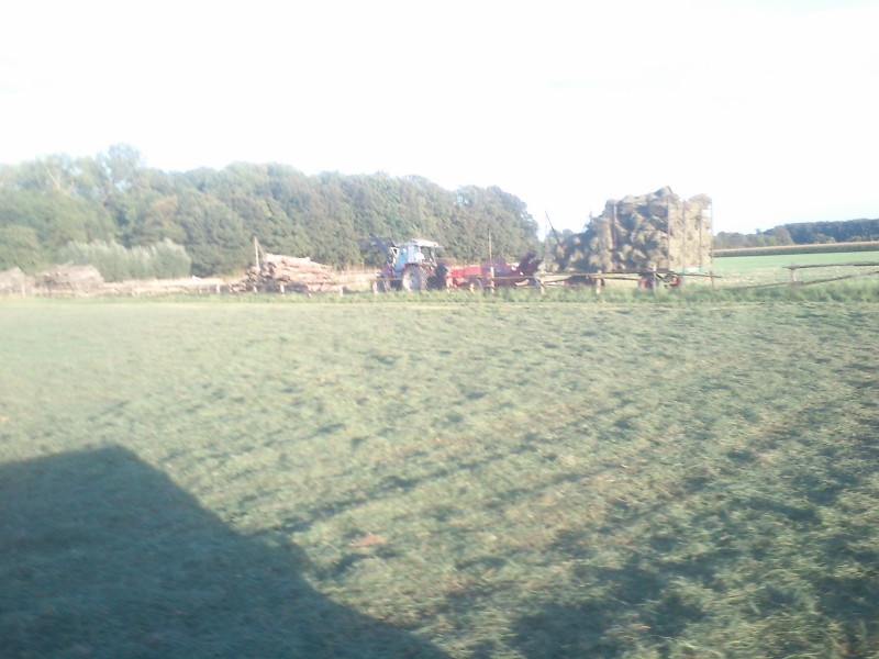 DSC_0025 (800x600).jpg