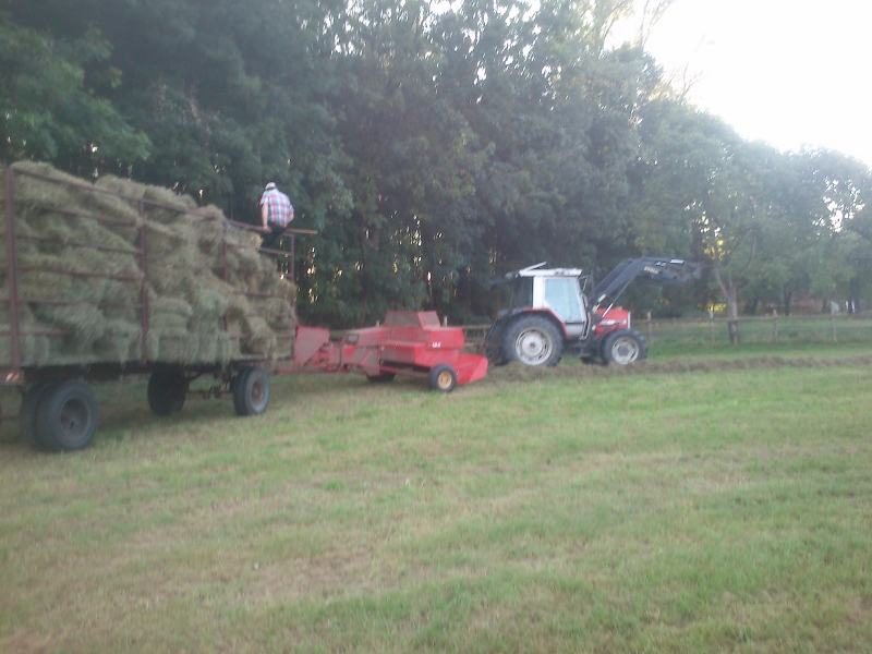 DSC_0026 (800x600).jpg