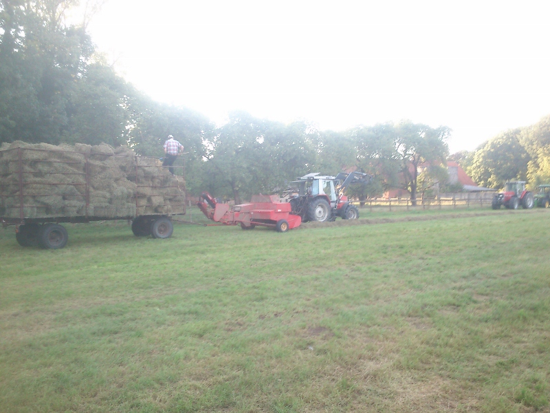 DSC_0027 (800x600).jpg