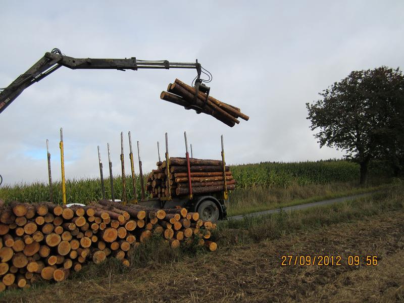 Einschlag September 019.jpg