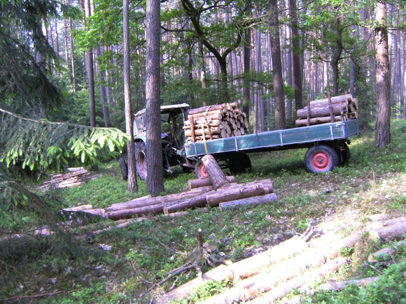 BILD0421.jpg