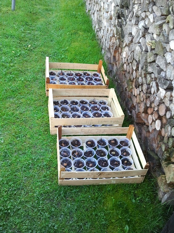 2012-09-28 12.13.28.jpg