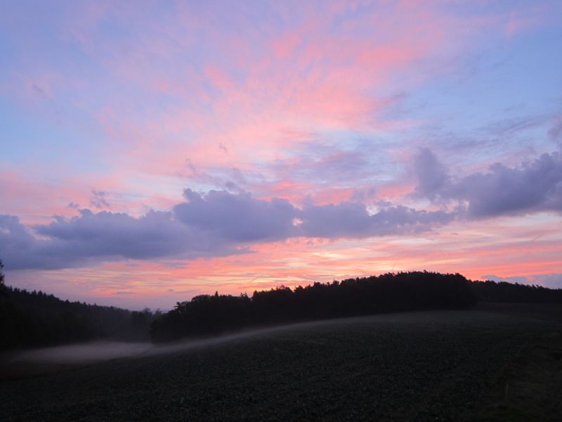 DBild 072.jpg