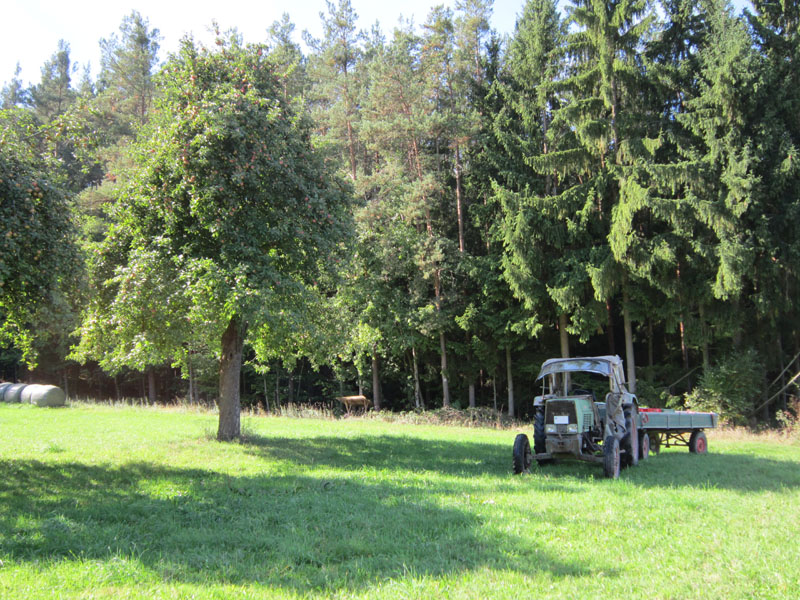 DBild 159.jpg