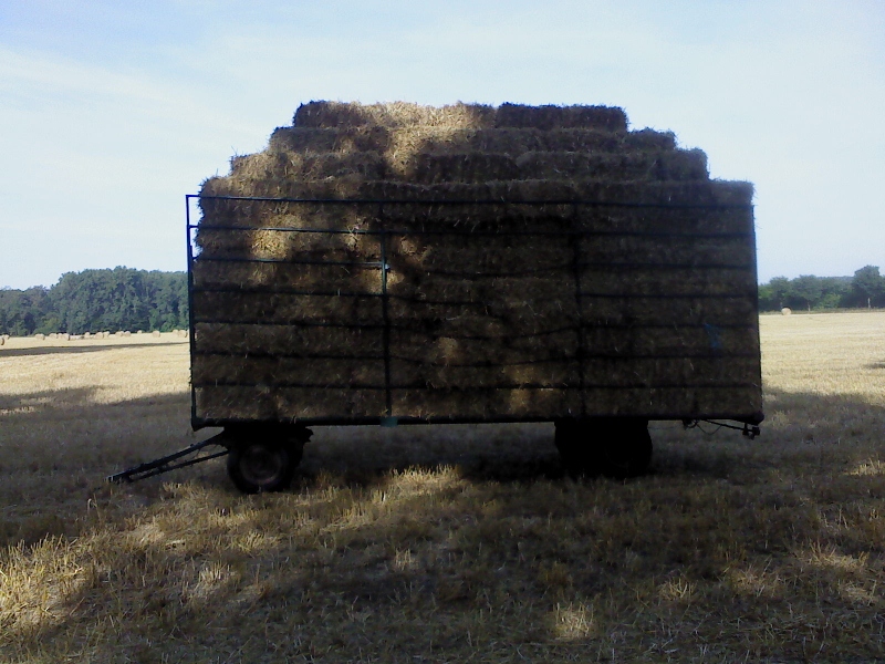 DSC00076 (800x600).jpg