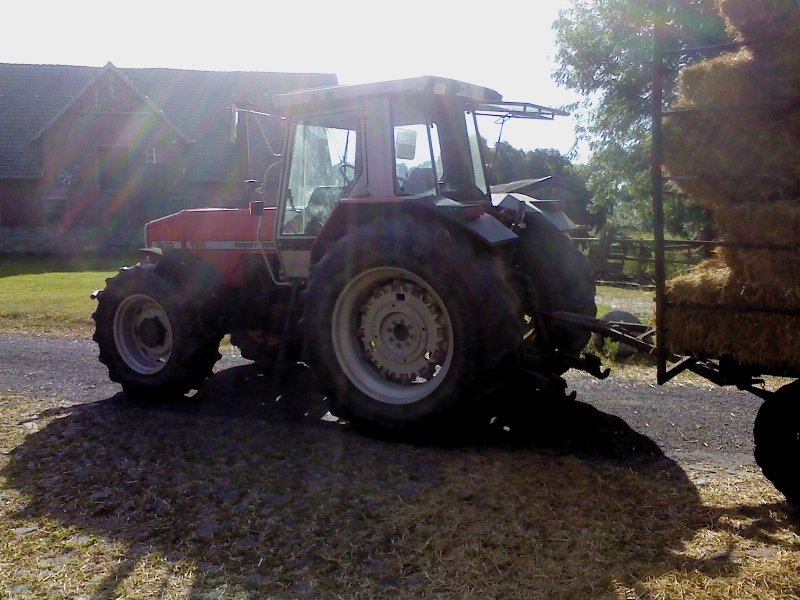 DSC00075 (800x600).jpg