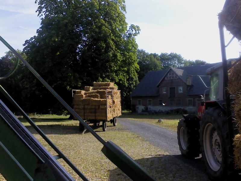 DSC00073 (800x600).jpg