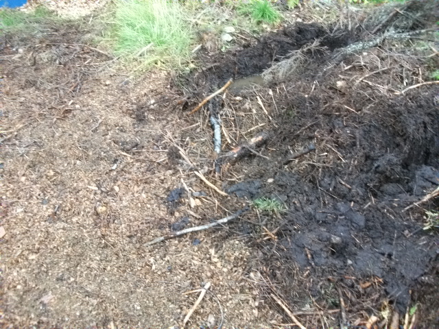 DSCF3739.jpg