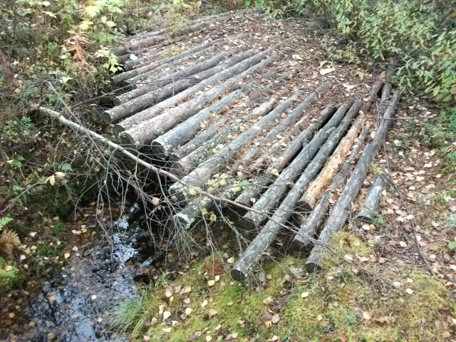 DSCF3742.jpg