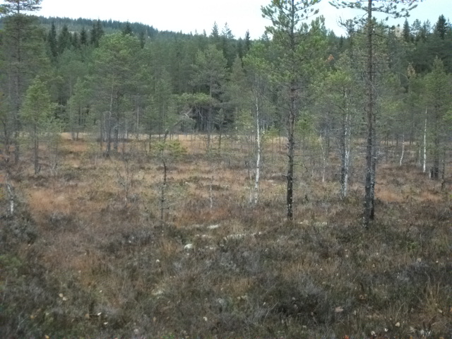 DSCF3743.jpg
