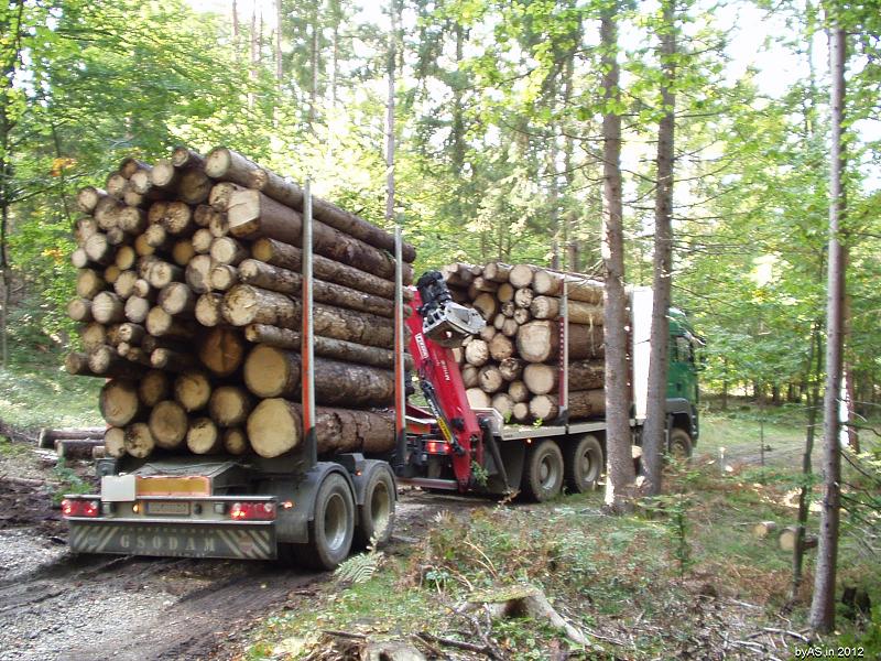 Abtransport_Bloche_3m_und_4m_PA050014_2.JPG