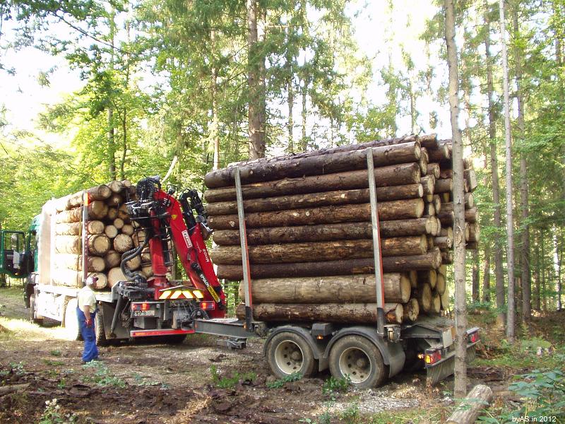Abtransport_Kaeferholz_PA050015_2.JPG