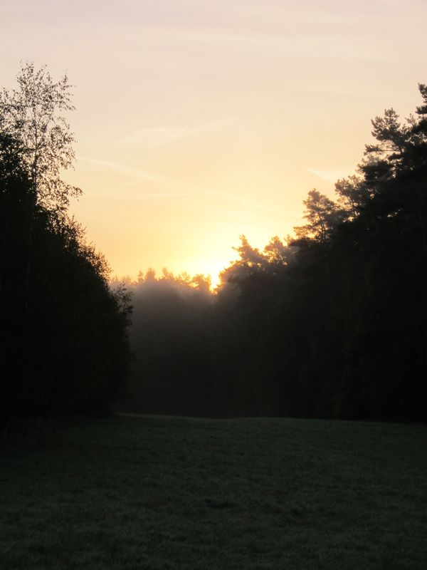 Bild 024.jpg