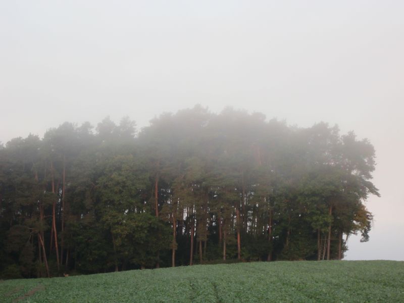 Bild 026.jpg