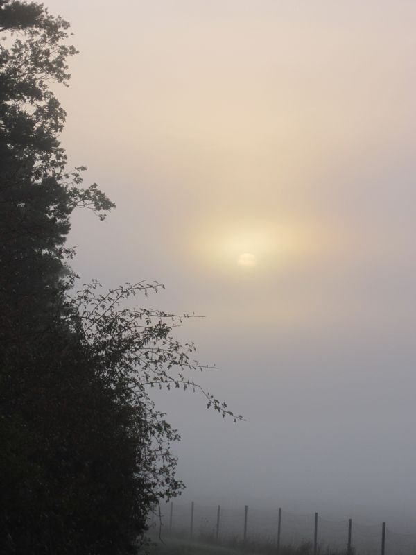Bild 035.jpg