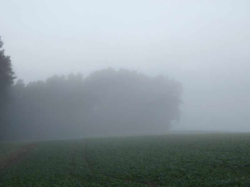 Bild 043.jpg