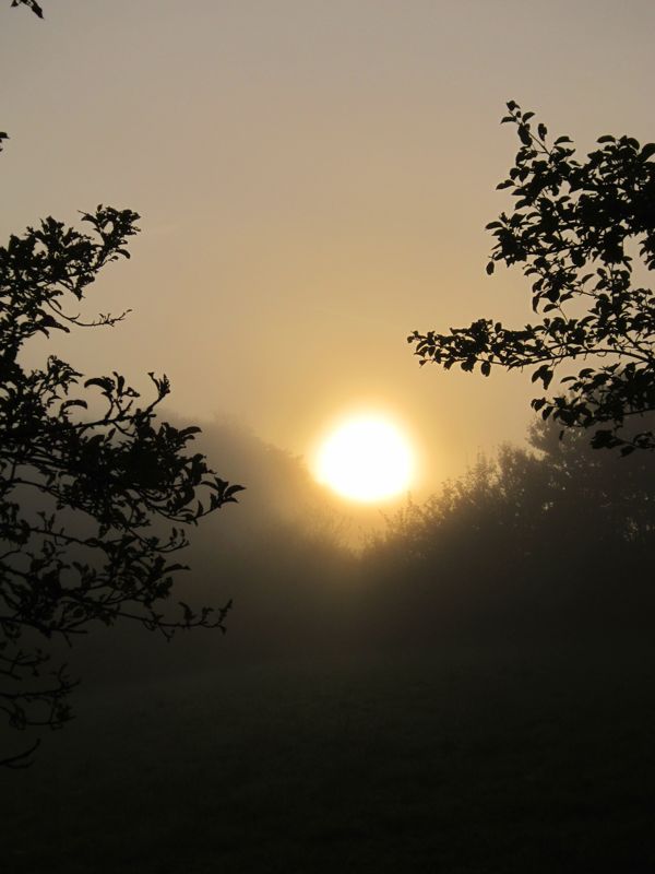 Bild 056.jpg