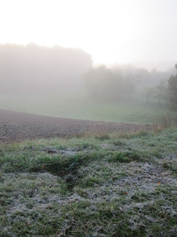 Bild 062.jpg