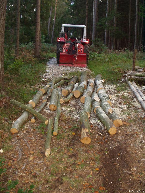 323_am_Holzlagerplatz_PA090010_2.JPG