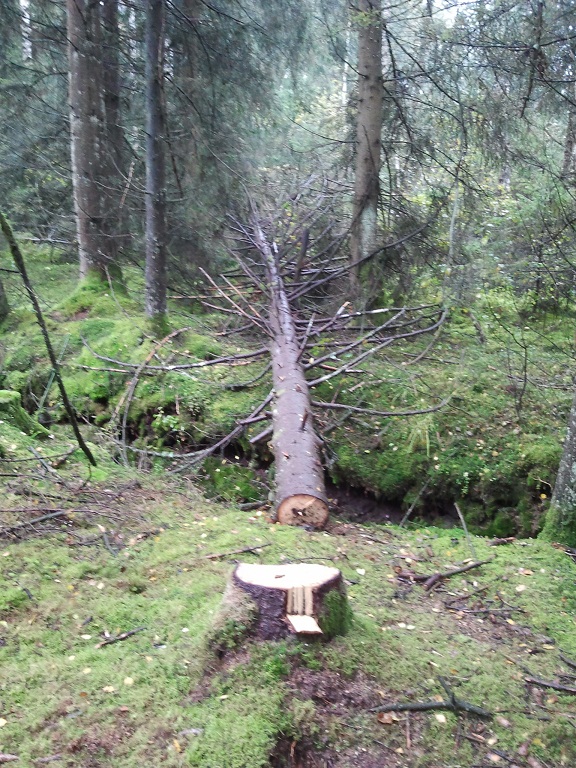2012-10-09 12.48.21.jpg