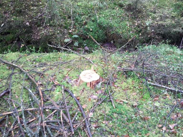 2012-10-09 12.48.43.jpg