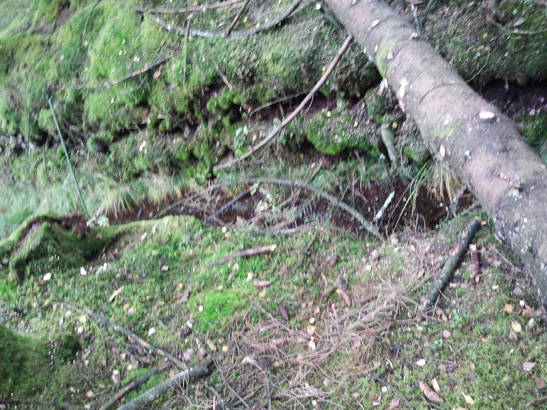2012-10-11 17.30.09.jpg