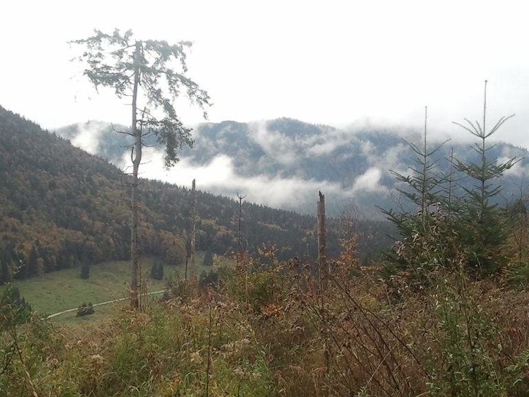 2012-10-13 10.22.50.jpg