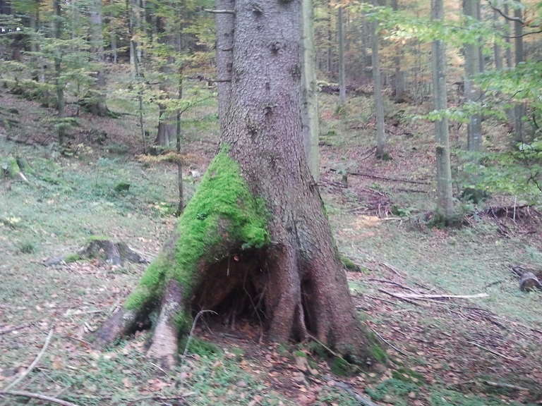 2012-10-13 15.24.38.jpg