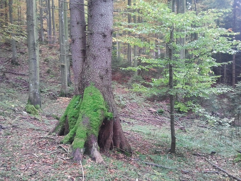 2012-10-13 15.24.51.jpg