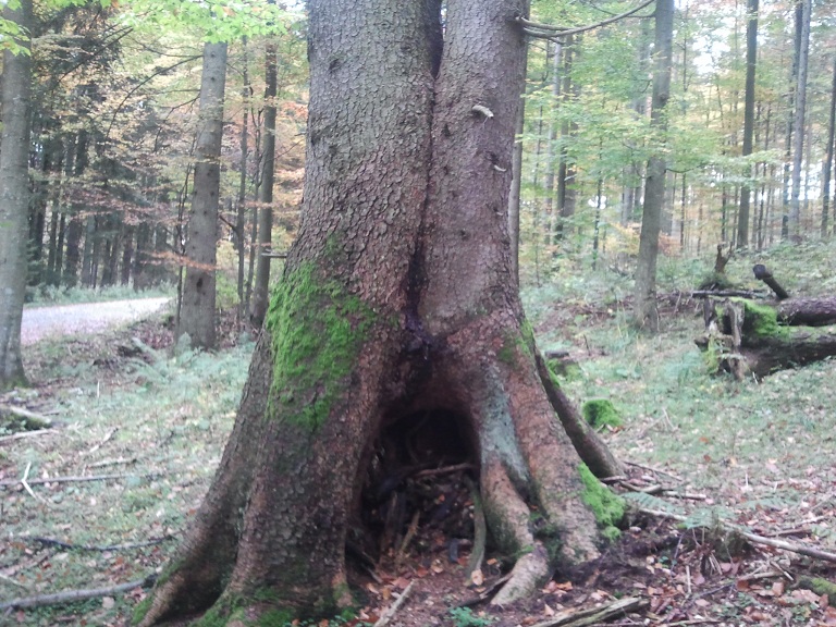 2012-10-13 15.25.15.jpg