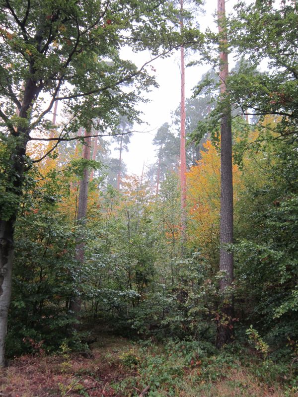 Bild 025.jpg