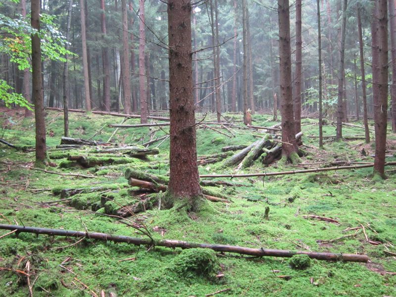 Bild 035.jpg